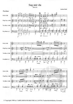 Sag mir du von André Stoll 