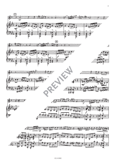 Concertino for Trumpet and Strings Op. 45 No. 6 von Lars-Erik Larsson 