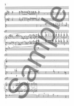 Reflections on A Martyrdom von John Joubert 