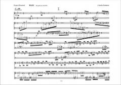 Mari. Due Pezzi per Marimba von F. Donatoni 