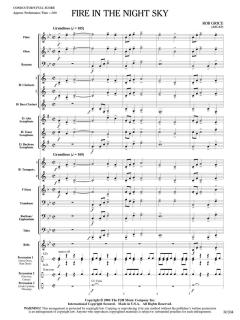 Fire in the Night Sky von Robert Grice 