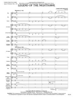 Legend of the Nighthawk von James Swearingen 