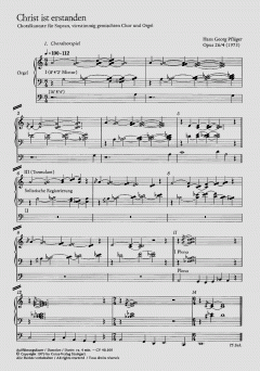 Christ ist erstanden (Hans Georg Pflüger) 