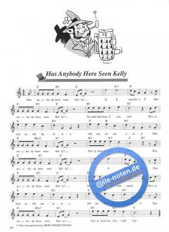 Irish Traditionals & Pub Songs von Frank Rich 