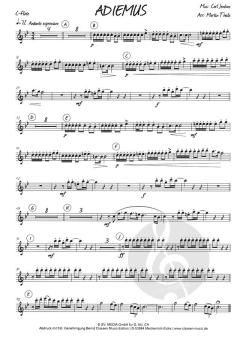 Adiemus von Karl Jenkins 