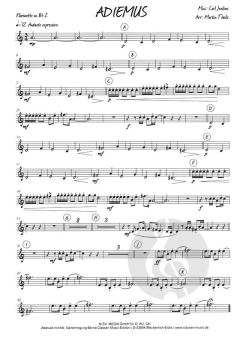 Adiemus von Karl Jenkins 