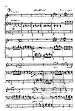 Der Solotrompeter (vom Laien zum Virtuosen) von Richard Stegmann im Alle Noten Shop kaufen