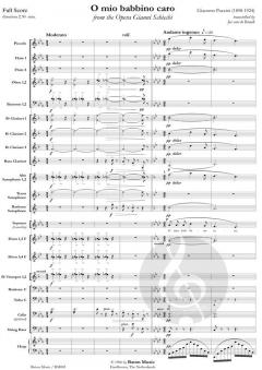 O mio babbino caro from The Opera Gianni Schicchi (Giacomo Puccini) 