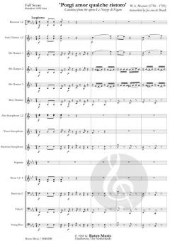 Porgi amor qualche ristoro (W.A. Mozart) 