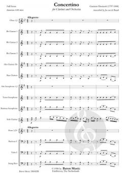 Concertino For Clarinet (Gaetano Donizetti) 
