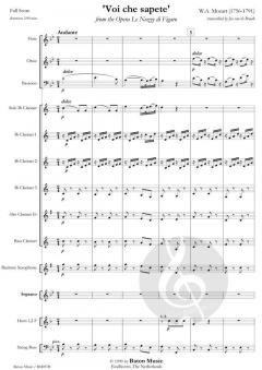 Voi che sapete from The Opera le Nozze di Figaro (W.A. Mozart) 