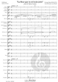 La fleur que tu m'avais jetee from The Opera Carmen (Georges Bizet) 