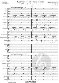 L'amour est un oiseau rebelle (Georges Bizet) 