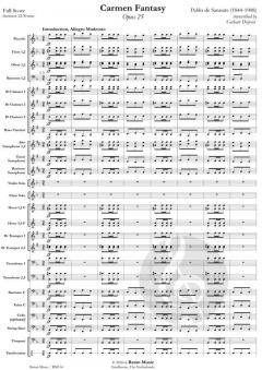 Carmen Fantasy For Violin (Pablo de Sarasate) 