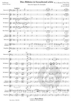 Dies Bildniss ist bezaubernd schön from The Opera Die Zauberflöte (W.A. Mozart) 