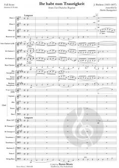 Ihr habt nun Traurigkeit from Ein deutsches Requiem (Johannes Brahms) 