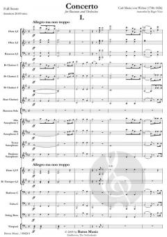 Concerto For Bassoon And Orchestra (Carl Maria von Weber) 