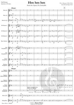 Hm hm hm from The Opera Die Zauberflöte (W.A. Mozart) 