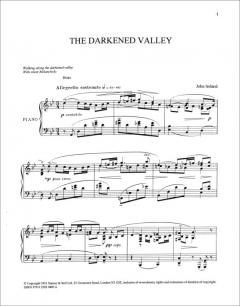 The Darkened Valley von John Ireland 