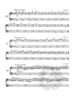 Select Studies Book 1 von Emil Kreuz 