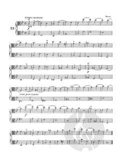 Select Studies Book 1 von Emil Kreuz 