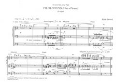 Fel Blodeuyn von Rhian Samuel 