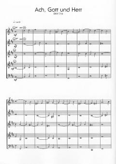 Drei Orgelchoräle von Johann Sebastian Bach 