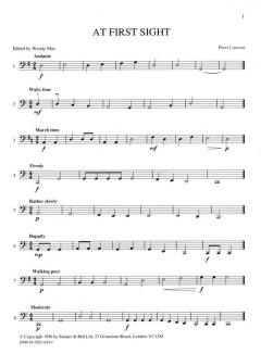 At First Sight Book 1 von Peter Lawson 