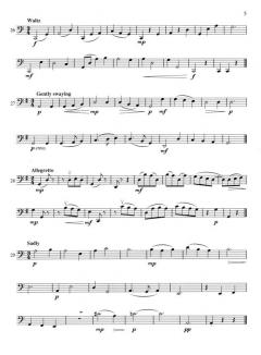 At First Sight Book 1 von Peter Lawson 