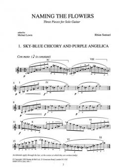 Naming The Flowers von Rhian Samuel 