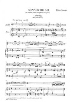 Shaping the Air von Rhian Samuel 
