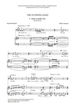 The Flowing Sand von Rhian Samuel 