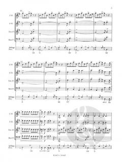 Rockin' Recorders (Peter Bullock) 