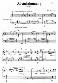 Abendstimmung von Hans Breinbauer 