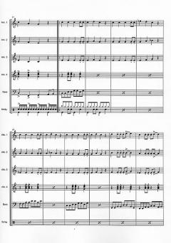 Rock n Roll Fever von Bernd Glück 