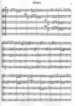 Concerto a-moll von Franc Zibert 