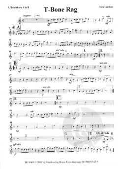 T-Bone Rag (Tom Lambart) 