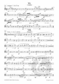 Enigma Variations von Edward Elgar 