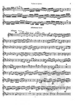 Brandenburgisches Konzert Nr. 5 in D-Dur BWV 1050 von Johann Sebastian Bach 