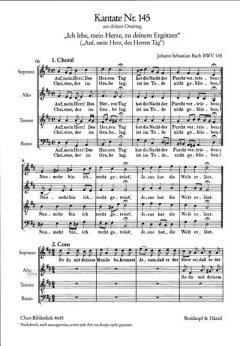 Ich lebe, mein Herze, zu deinem Ergötzen (J.S. Bach) 