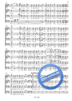 Das Dörfchen op. 11/1 D 641 (Franz Schubert) 
