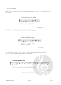 Der Blasorchester Dirigent (Felix Hauswirth) 