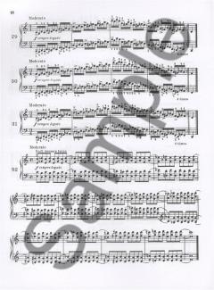 The Little Pischna von Johann Pischna 