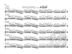 Daily Exercises for the Flute von André Maquarre 