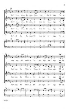 The Last Rose Of Summer (The New York Voices) 