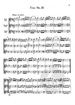 6 Trios for 3 Flutes, Op. 83 von James Hook 
