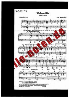 Walzer-Hits / Muntermacher 