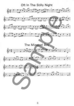 30 Irish Tunes For Easy Recorder (Ellen Cranitch) 