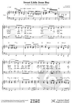 Sweet Little Jesus Boy 