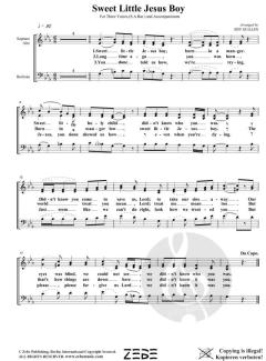 Sweet Little Jesus Boy 
